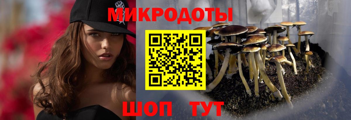 Псилоцибиновые грибы Psilocybine cubensis  Вход с VPN  Шатура 