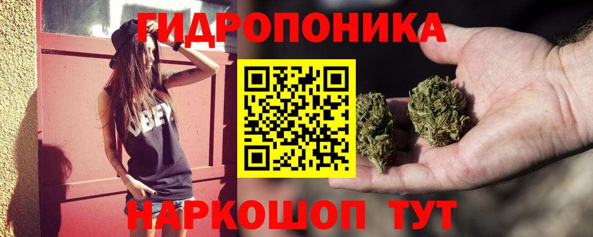 Шатура  Канабис White Widow  Вход с VPN  Бошки марихуана VHQ  Шишки марихуана тримм  Канабис гибрид 